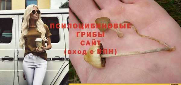 гидра Абинск