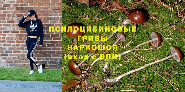 круглые Алексин